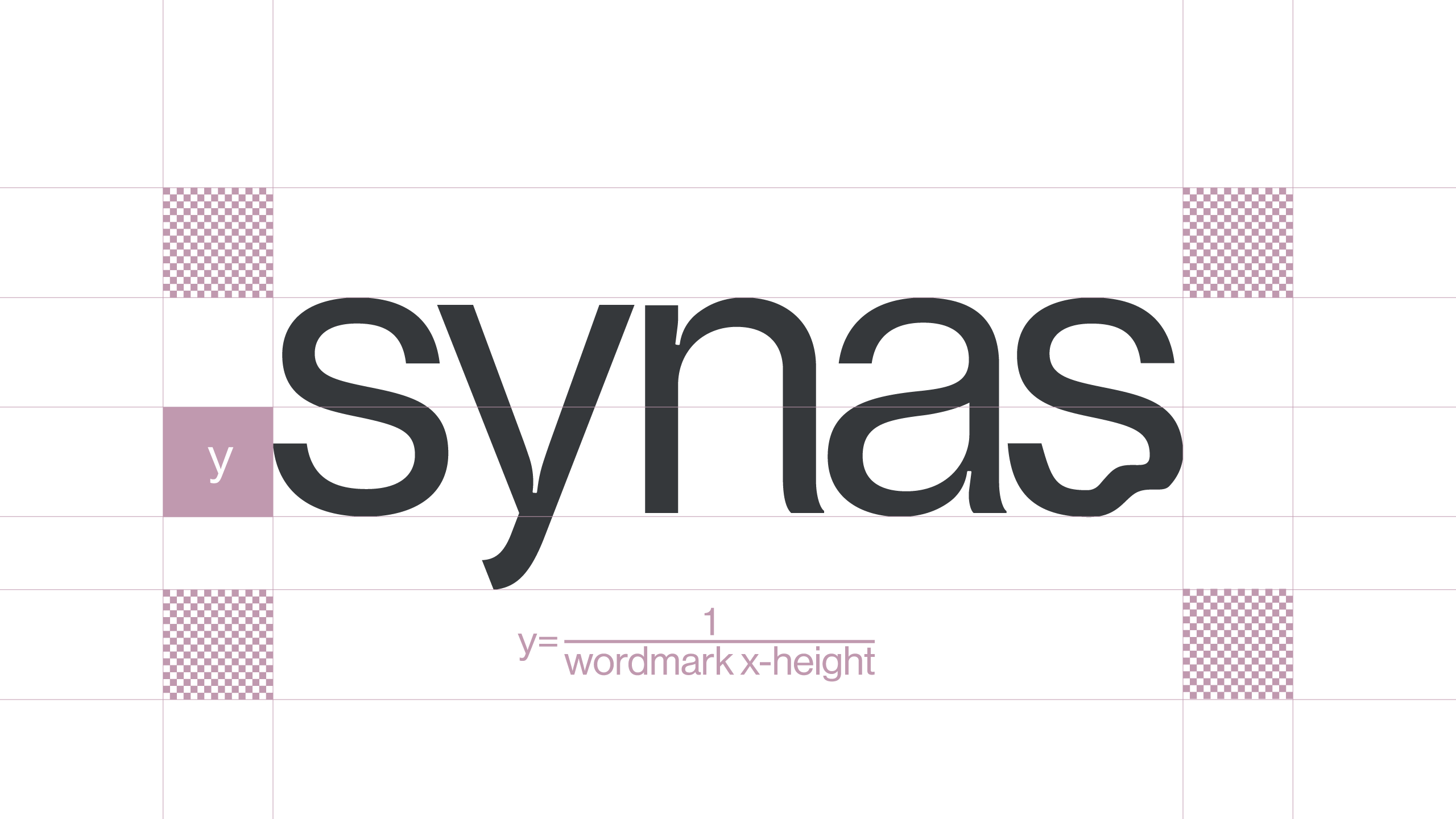 Synas-logo-clearspace